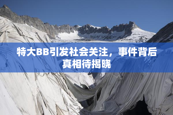 特大BB引发社会关注，事件背后真相待揭晓