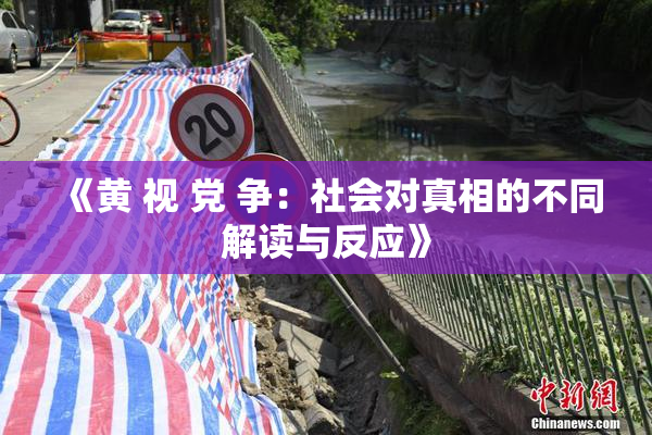 《黄 视 党 争：社会对真相的不同解读与反应》