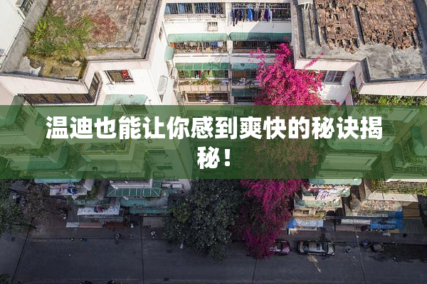 温迪也能让你感到爽快的秘诀揭秘！