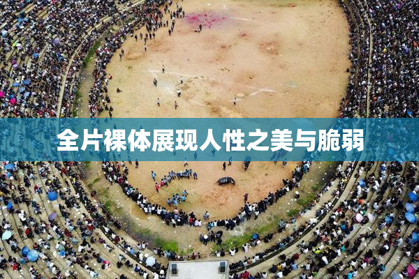 全片裸体展现人性之美与脆弱