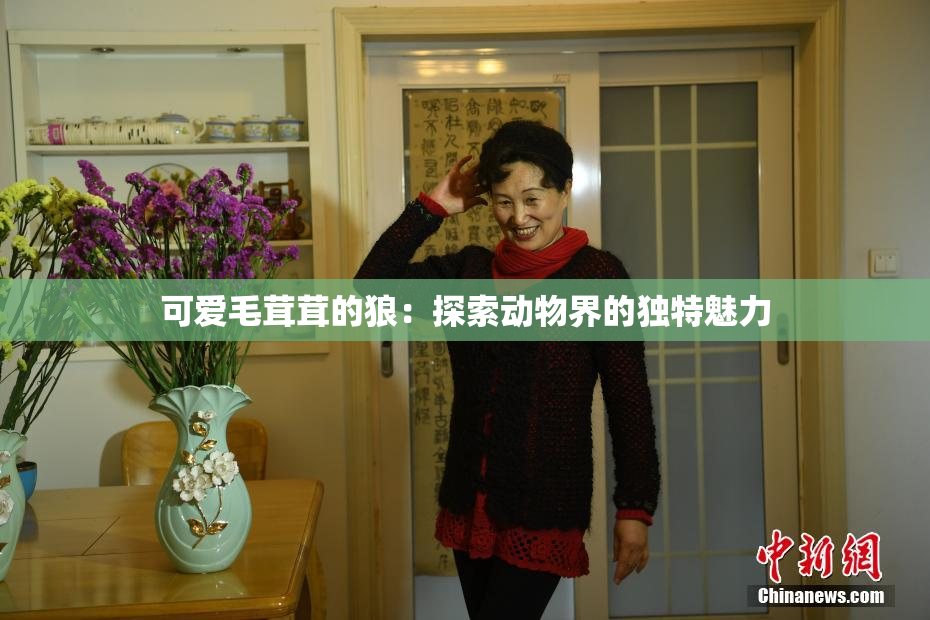 可爱毛茸茸的狼：探索动物界的独特魅力