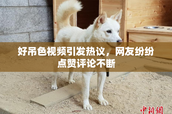 好吊色视频引发热议，网友纷纷点赞评论不断