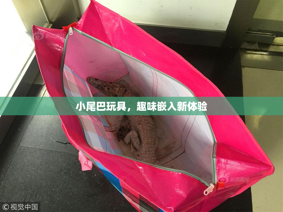 小尾巴玩具，趣味嵌入新体验