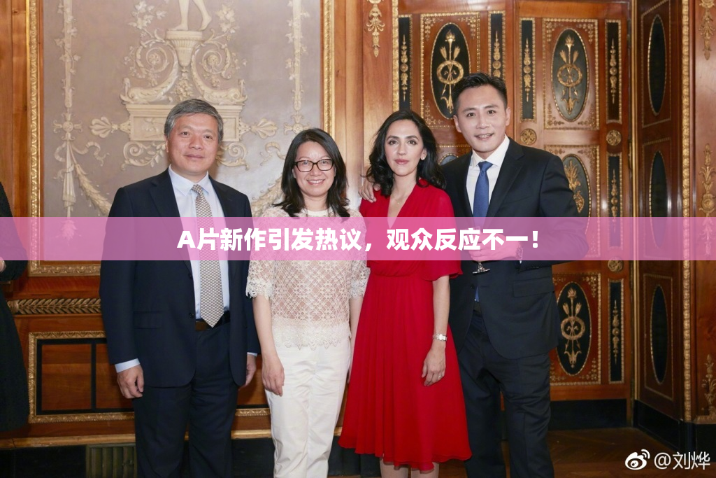 A片新作引发热议，观众反应不一！