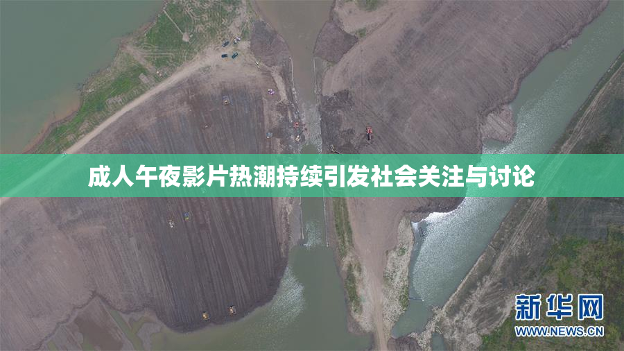 成人午夜影片热潮持续引发社会关注与讨论