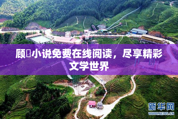 顾嫚小说免费在线阅读，尽享精彩文学世界