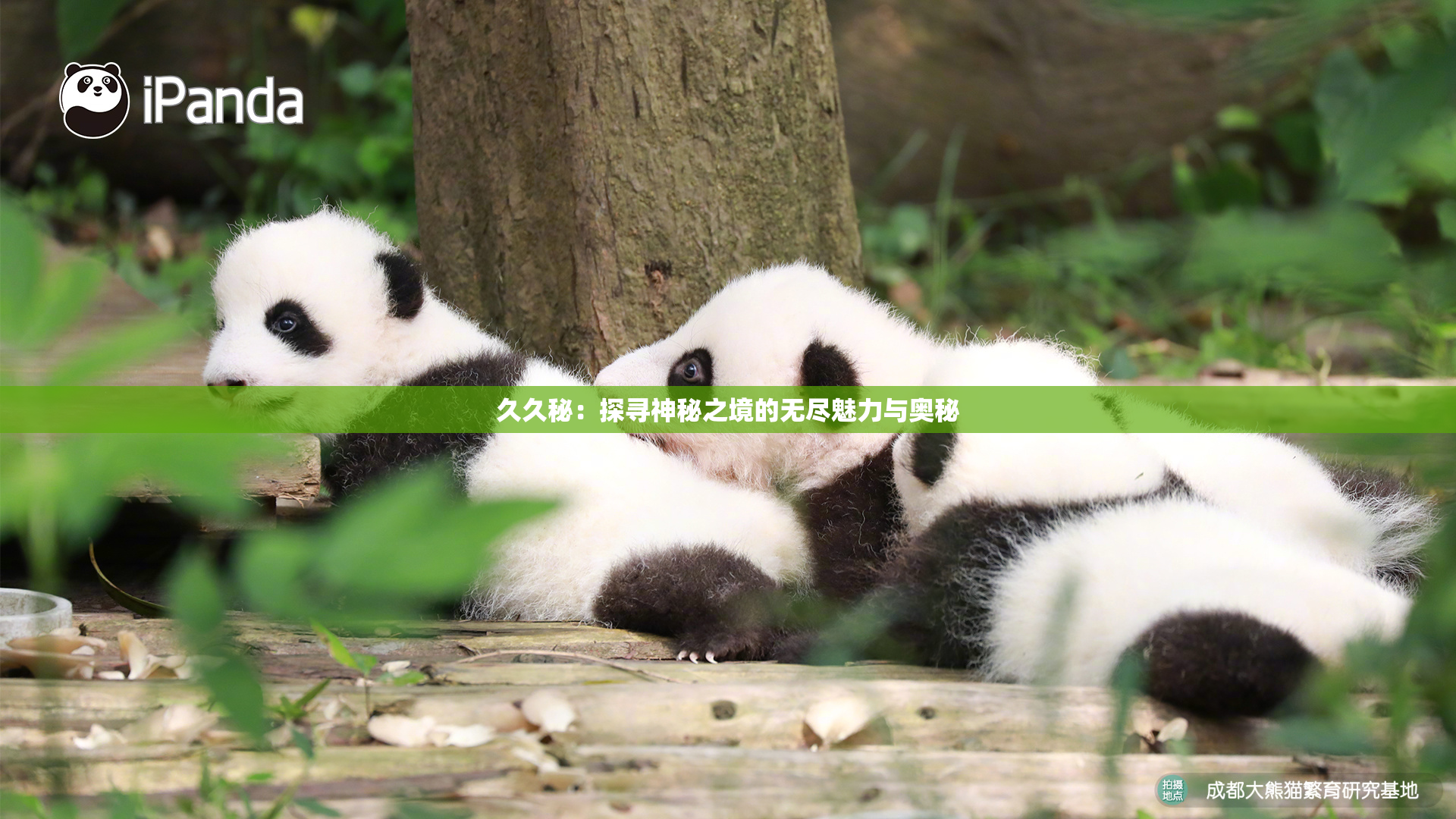 久久秘：探寻神秘之境的无尽魅力与奥秘