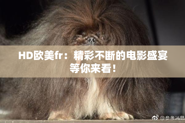 HD欧美fr：精彩不断的电影盛宴等你来看！