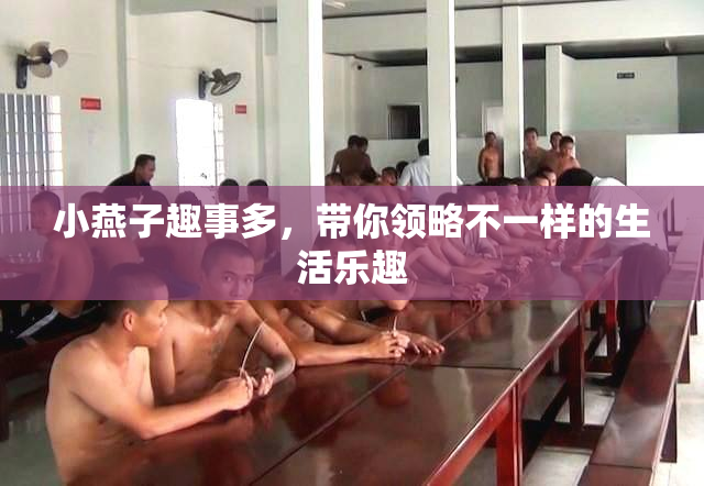 小燕子趣事多，带你领略不一样的生活乐趣