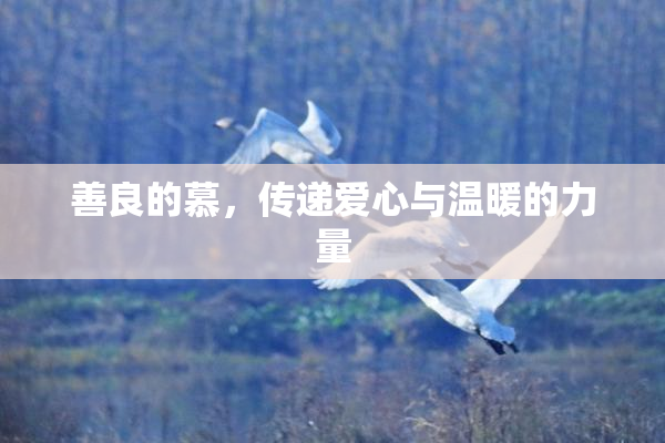 善良的慕，传递爱心与温暖的力量