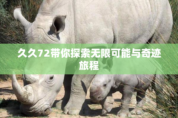 久久72带你探索无限可能与奇迹旅程