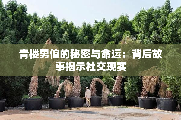 青楼男倌的秘密与命运：背后故事揭示社交现实