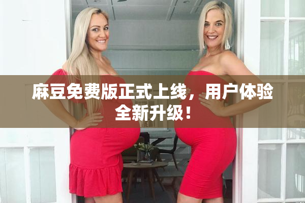 麻豆免费版正式上线，用户体验全新升级！