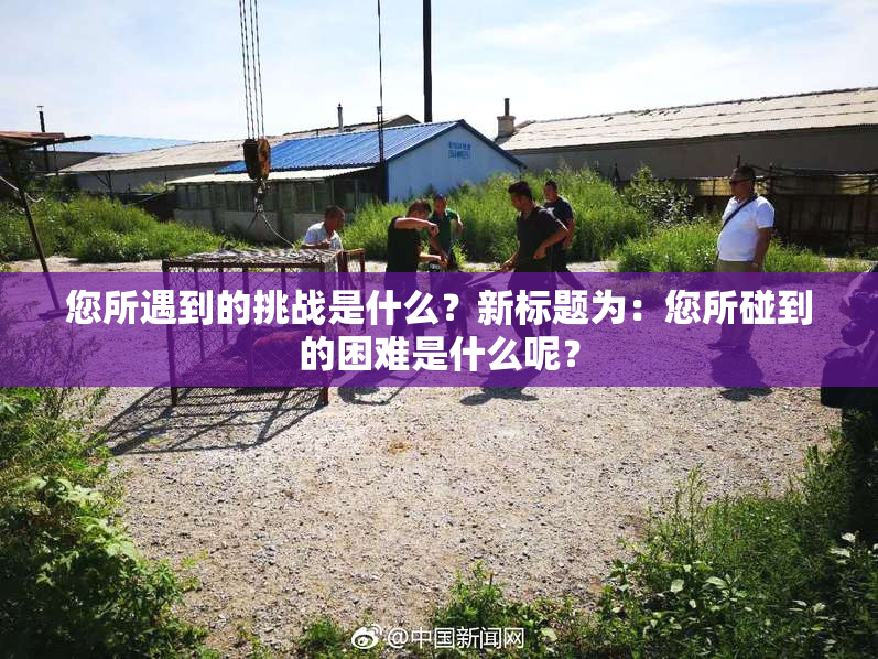 您所遇到的挑战是什么？新标题为：您所碰到的困难是什么呢？