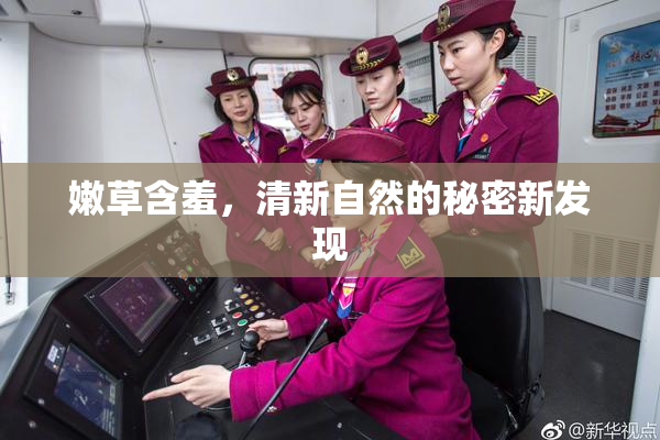 嫩草含羞，清新自然的秘密新发现