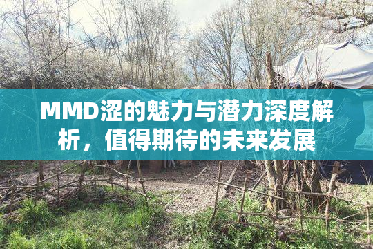 MMD涩的魅力与潜力深度解析，值得期待的未来发展