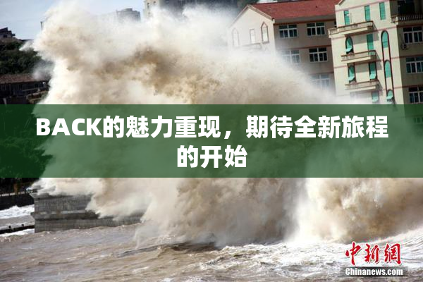 BACK的魅力重现，期待全新旅程的开始