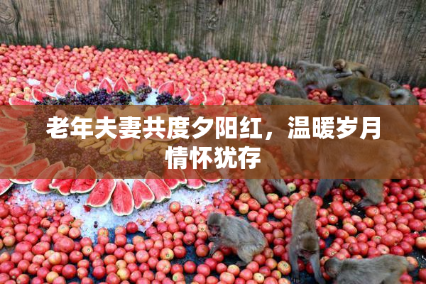 老年夫妻共度夕阳红，温暖岁月情怀犹存