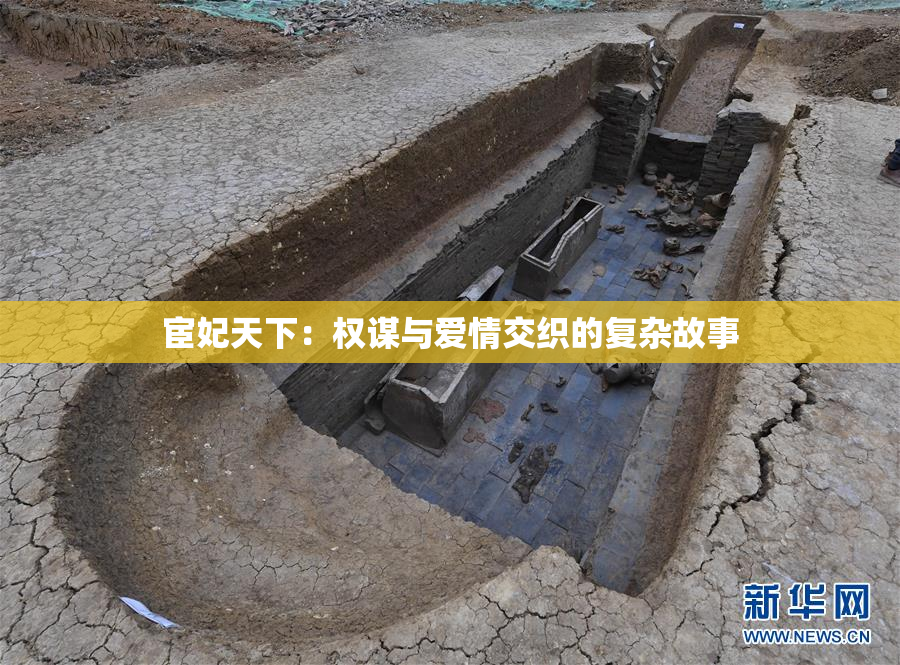 宦妃天下：权谋与爱情交织的复杂故事