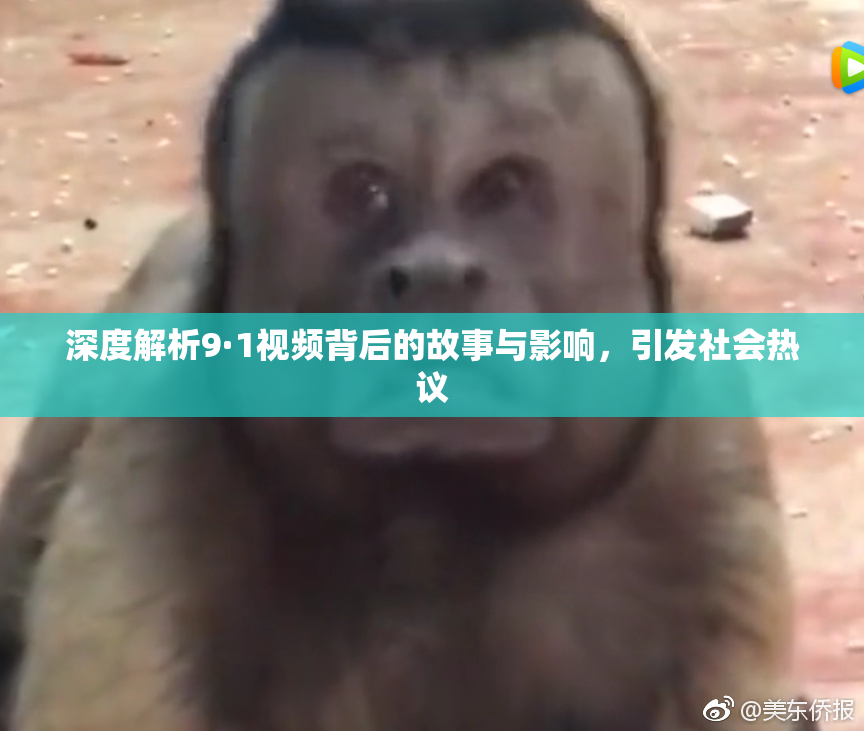 深度解析9·1视频背后的故事与影响，引发社会热议