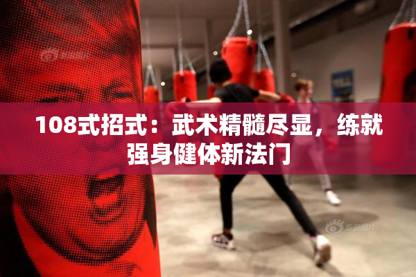 108式招式：武术精髓尽显，练就强身健体新法门