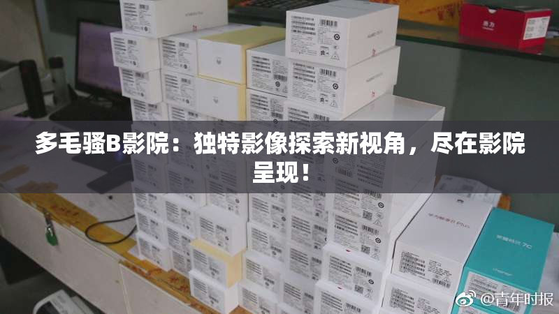 多毛骚B影院：独特影像探索新视角，尽在影院呈现！