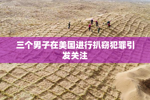 三个男子在美国进行扒窃犯罪引发关注