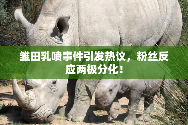 雏田乳喷事件引发热议，粉丝反应两极分化！