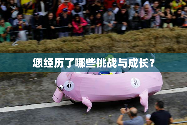 您经历了哪些挑战与成长？