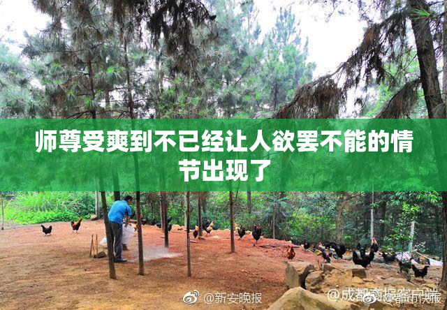 师尊受爽到不已经让人欲罢不能的情节出现了