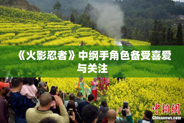 《火影忍者》中纲手角色备受喜爱与关注