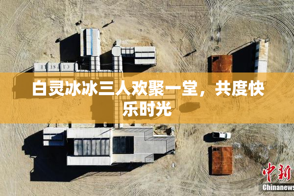白灵冰冰三人欢聚一堂，共度快乐时光