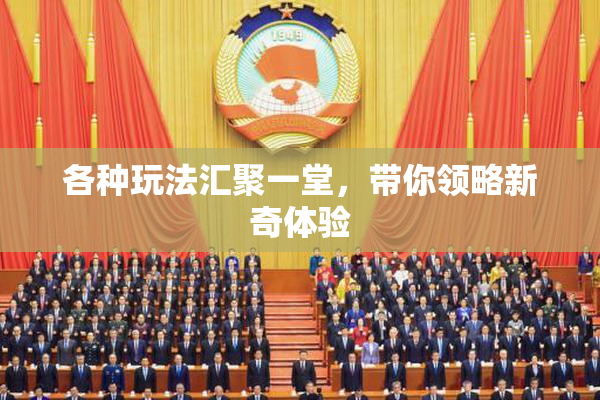 各种玩法汇聚一堂，带你领略新奇体验