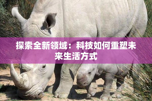 探索全新领域：科技如何重塑未来生活方式