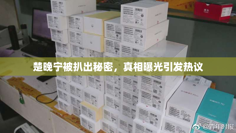 楚晚宁被扒出秘密，真相曝光引发热议