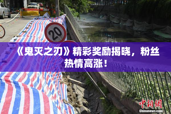 《鬼灭之刃》精彩奖励揭晓，粉丝热情高涨！