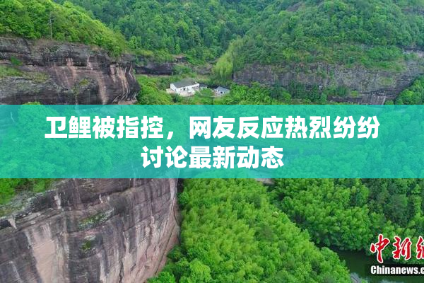 卫鲤被指控，网友反应热烈纷纷讨论最新动态