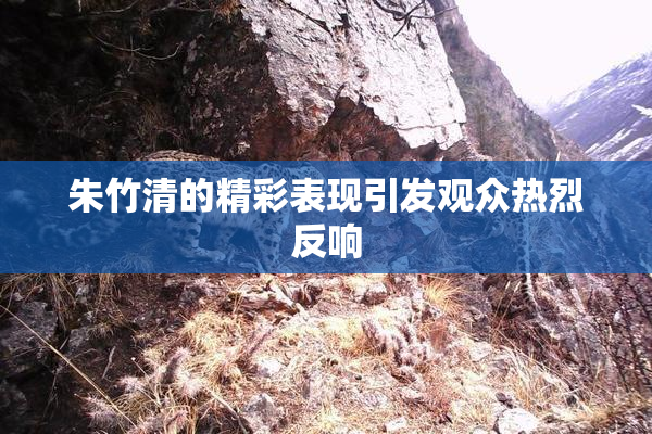 朱竹清的精彩表现引发观众热烈反响