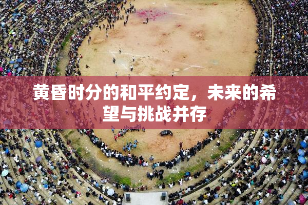黄昏时分的和平约定，未来的希望与挑战并存