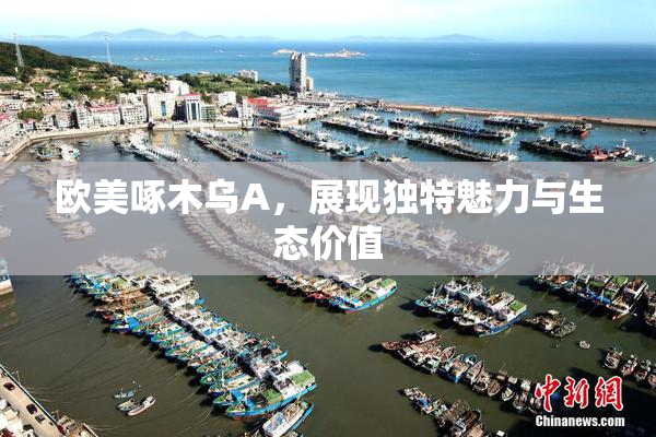欧美啄木乌A，展现独特魅力与生态价值
