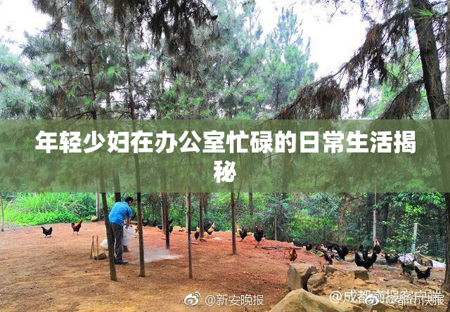 年轻少妇在办公室忙碌的日常生活揭秘