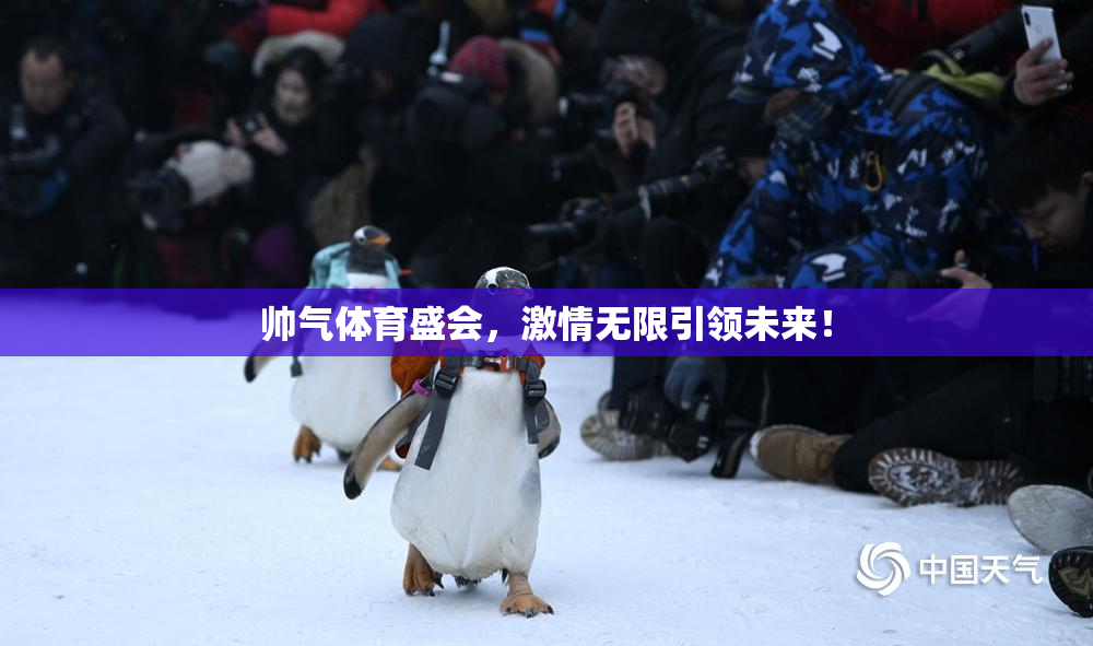 帅气体育盛会，激情无限引领未来！