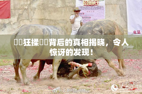 ❌‌狂揉❌‌背后的真相揭晓，令人惊讶的发现！