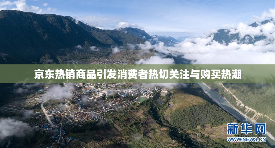 京东热销商品引发消费者热切关注与购买热潮