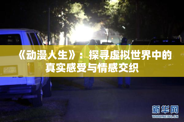 《动漫人生》：探寻虚拟世界中的真实感受与情感交织