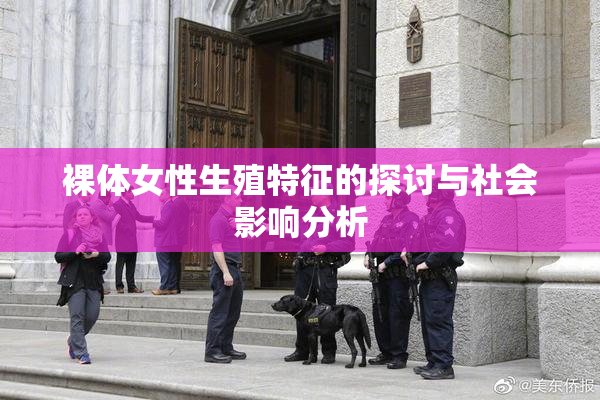 裸体女性生殖特征的探讨与社会影响分析