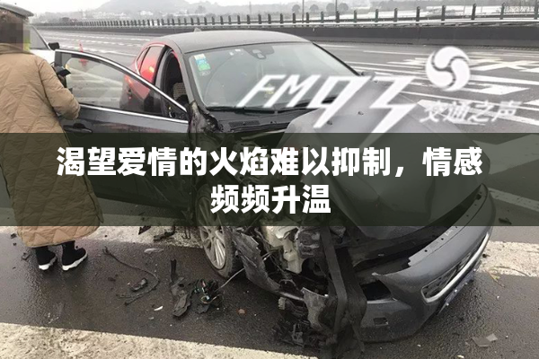 渴望爱情的火焰难以抑制，情感频频升温