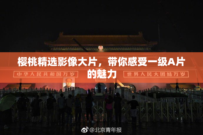 樱桃精选影像大片，带你感受一级A片的魅力