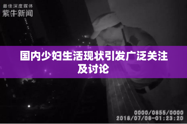 国内少妇生活现状引发广泛关注及讨论