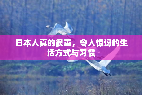 日本人真的很重，令人惊讶的生活方式与习惯